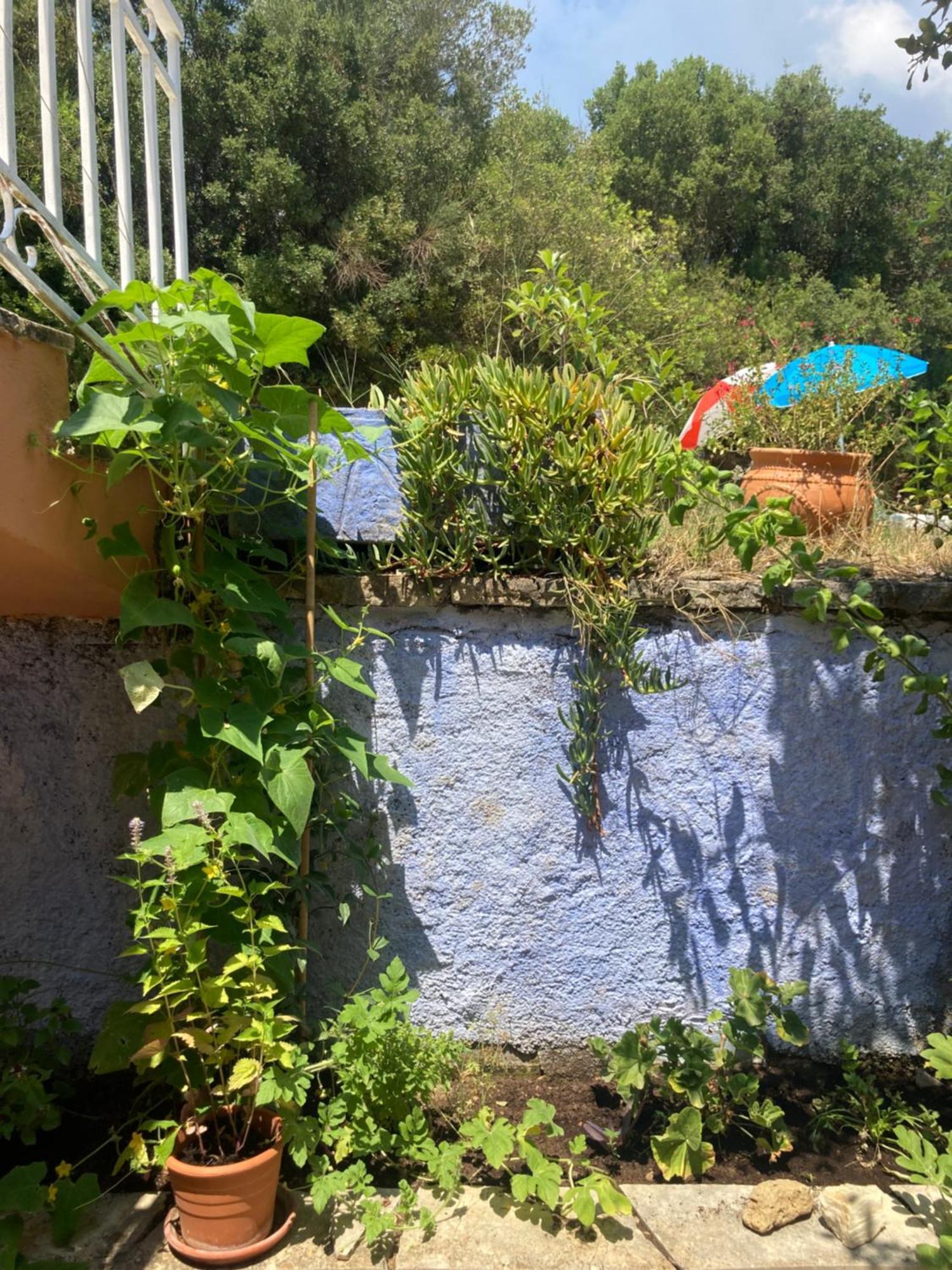 Kokkini Peach House Apartment Kokkínion Екстериор снимка